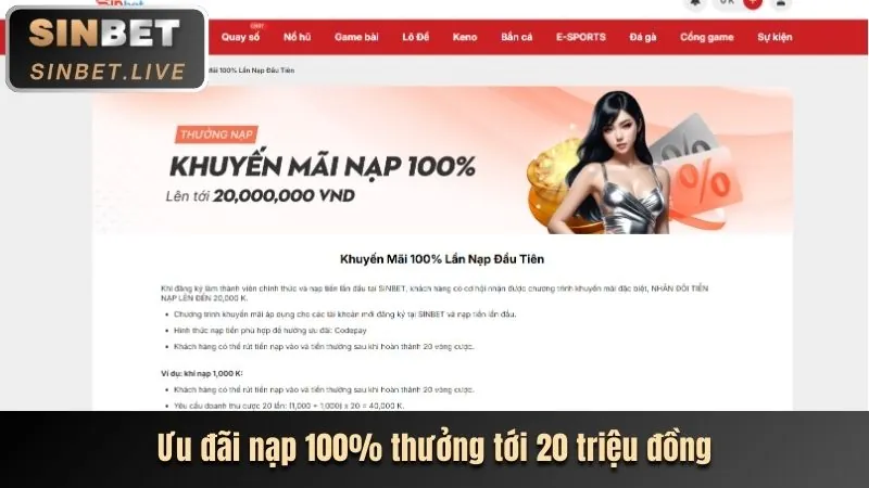Ưu đãi dành riêng cho VIP zj3979